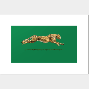 Leopard Posters and Art